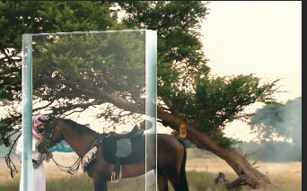 Lorem Ipsum is simply dummy text of the p