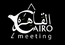 Cairo Meeting